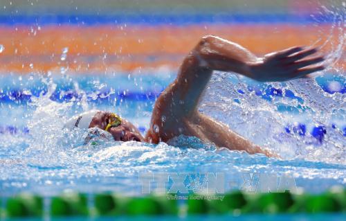 SEA Games 29: 'Kình ngư' Việt Nam đua nhau phá kỷ lục ảnh 2